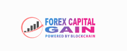 Forex Capital Gain